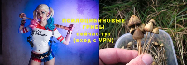 ешки Нязепетровск