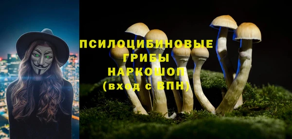 кокс Нягань