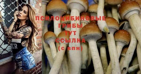круглые Няндома